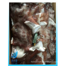 Frozen Giant Squid Raw Neck